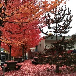 Meet your Posher, Jane